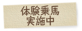 TOPICSoi[